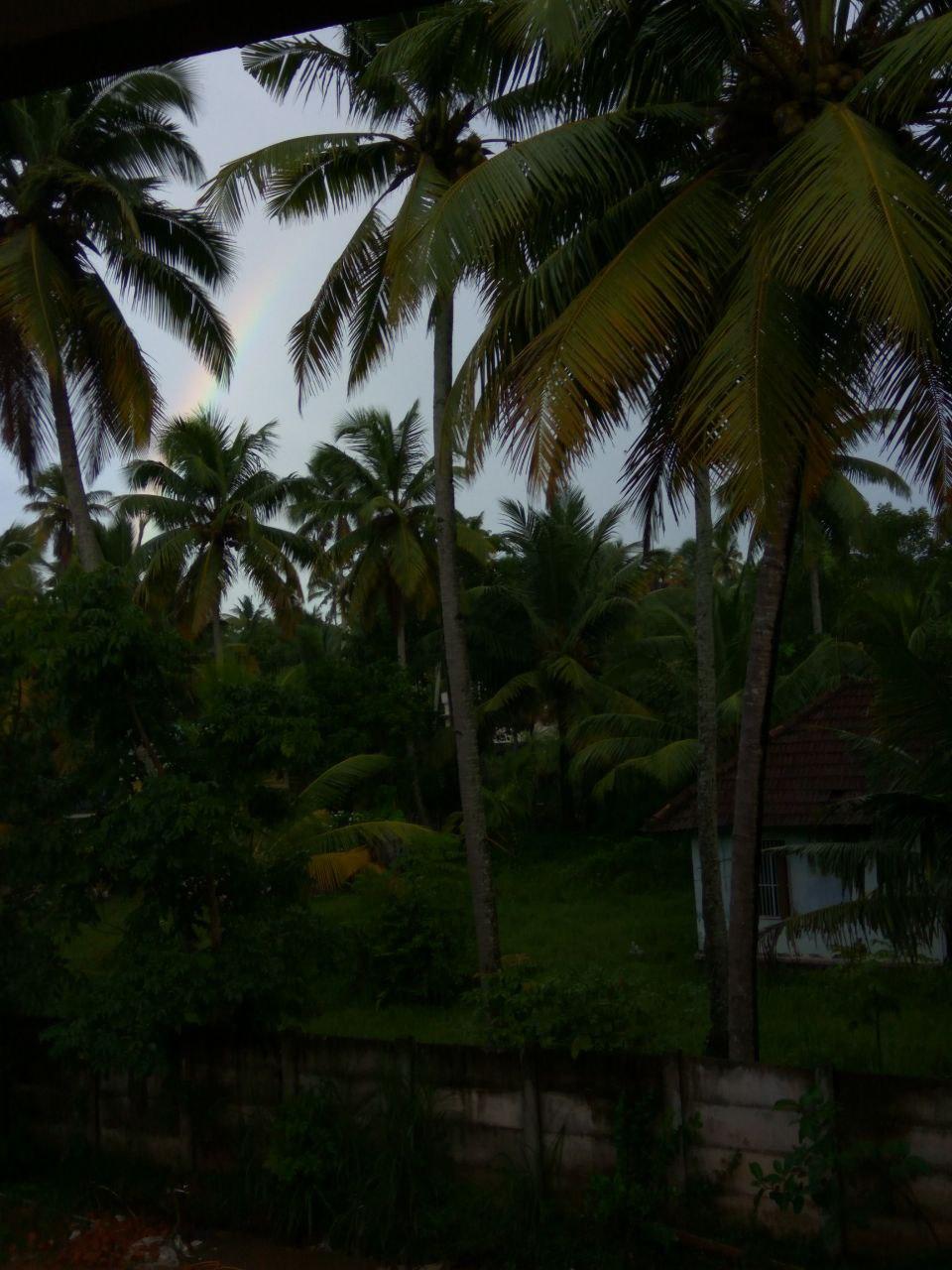 Figure 2: The Greenery and a rainbow!